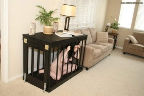 Living room pet cage